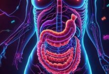 Absorption in the Small Intestine MCQs