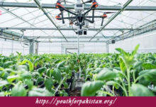 Agroforestry Systems Quiz with Answers
