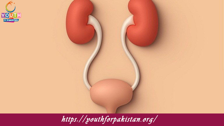 Bladder Quiz with Answers