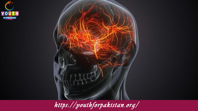 Brain Structure and Function Quiz with Answers