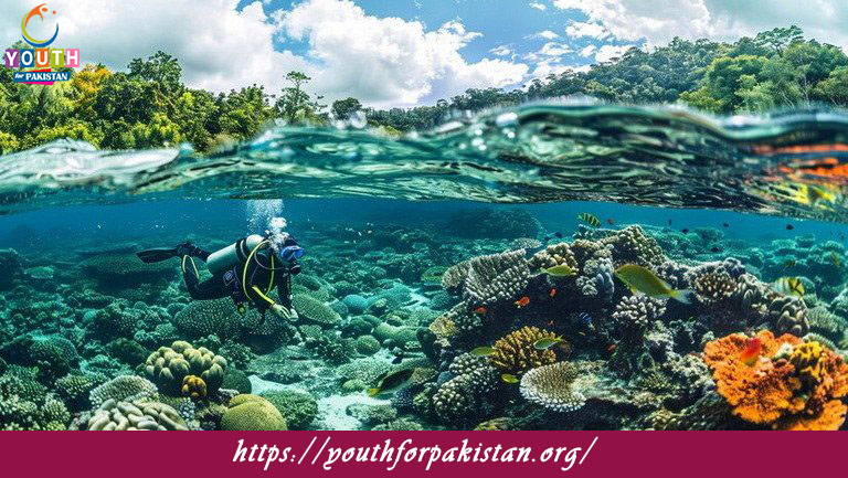 Coral Reef Ecology Quiz with Answers