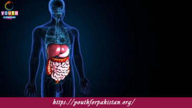 Digestive System Quiz with Answers