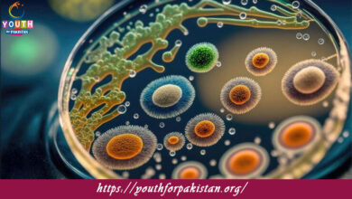 Distribution of Organisms Quiz with Answers