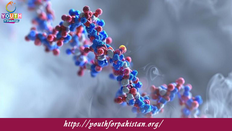 Epigenetics Quiz with Answers