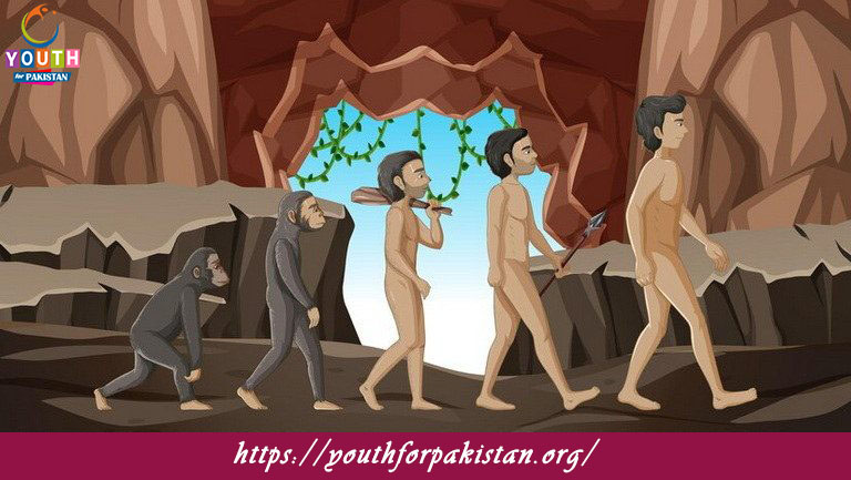 Evidence of Evolution Quiz with Answers