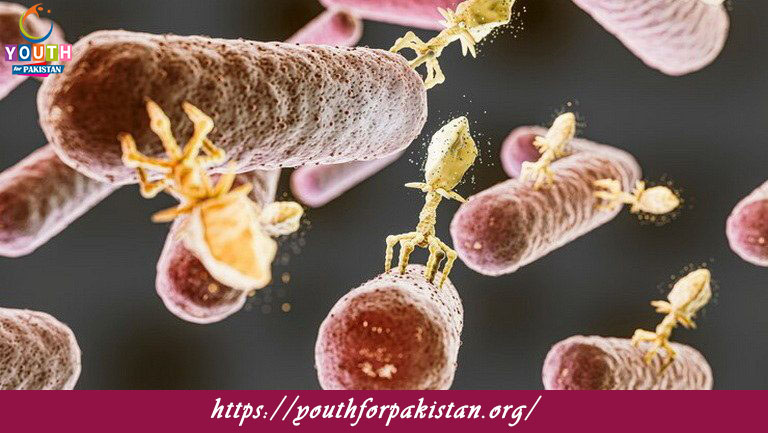 Fungal Physiology Quiz with Answers