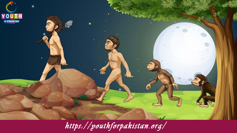 Human Evolution Quiz with Answers