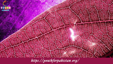 Microscopic Anatomy Quiz with Answers