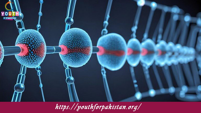 Molecular Evolution Quiz with Answers