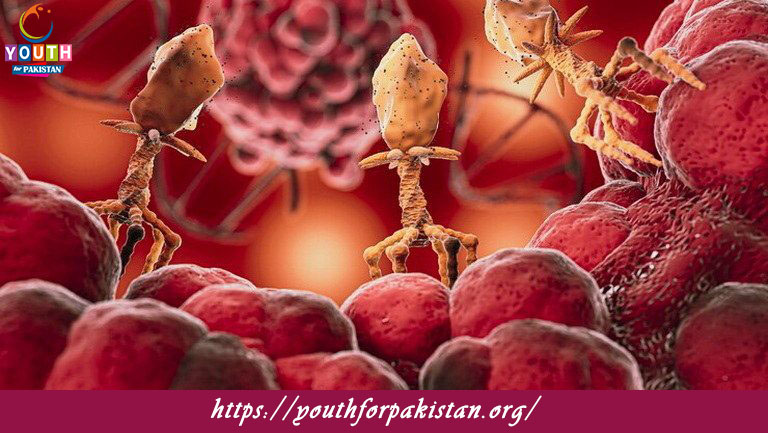 Organogenesis Quiz with Answers