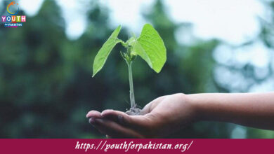Plant Ecology Quiz with Answers