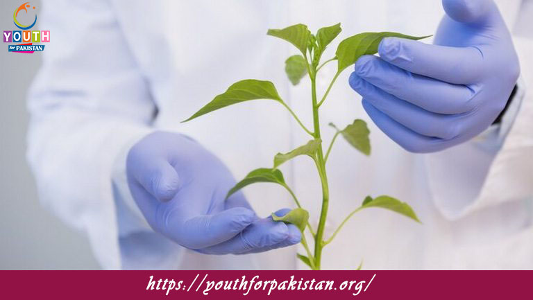 Plant Pathology Quiz with Answers