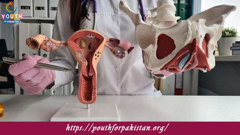 Reproductive Endocrinology Quiz with Answers