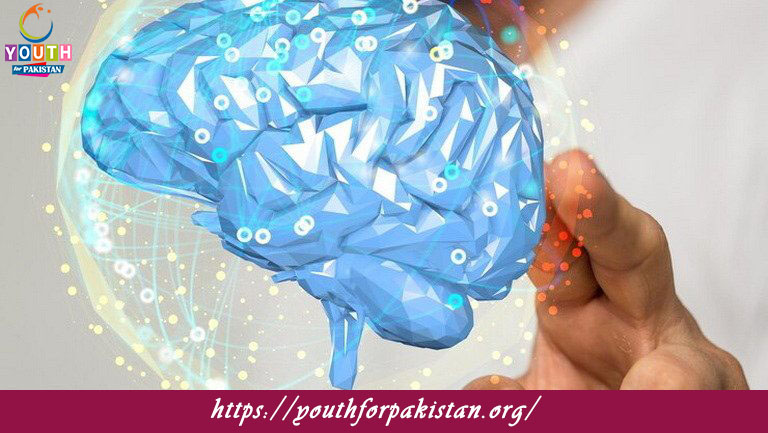 Sensory Systems Quiz with Answers