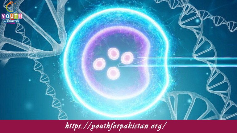 Stem Cells Quiz with Answers