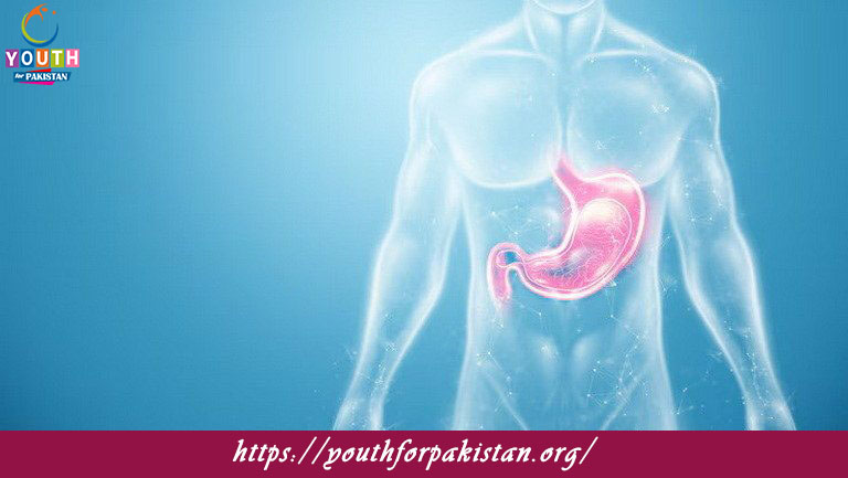 Stomach Quiz with Answers
