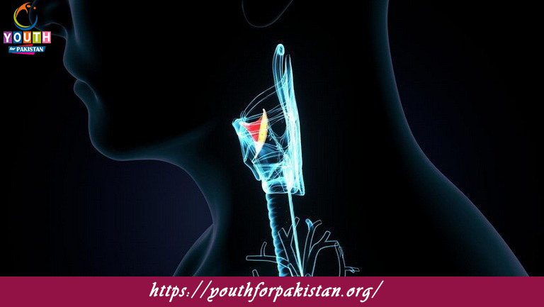 Thyroid Gland Quiz with Answers