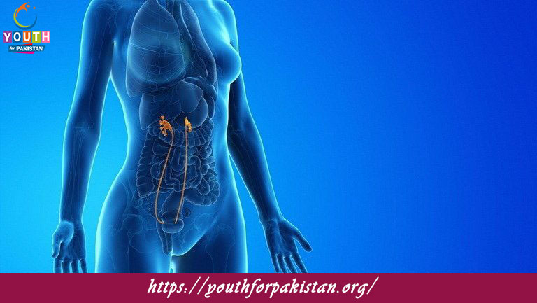 Ureters Quiz with Answers