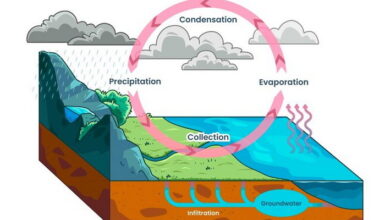 Atmospheric Chemistry MCQs