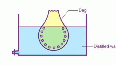 Colloids MCQs