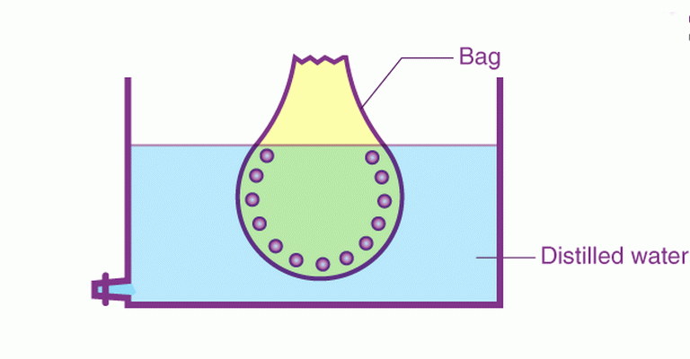 Colloids MCQs