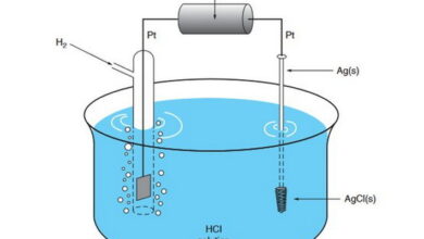 Electrochemical Cells MCQs