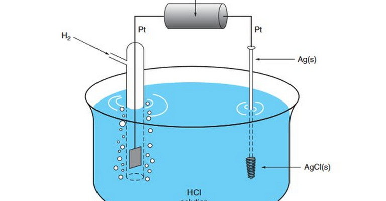 Electrochemical Cells MCQs