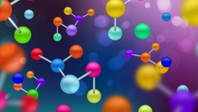 Isomerism in Coordination Compounds MCQs