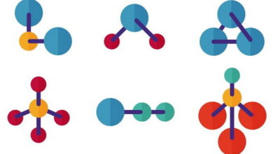 Ligands and Complexes MCQs