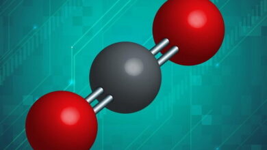 Metal-Carbon Bonds MCQs