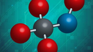 Metal Ion Transport MCQs