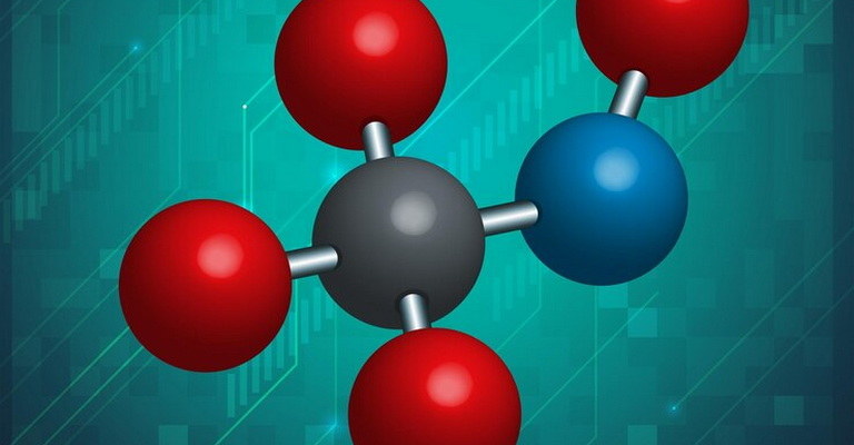 Metal Ion Transport MCQs