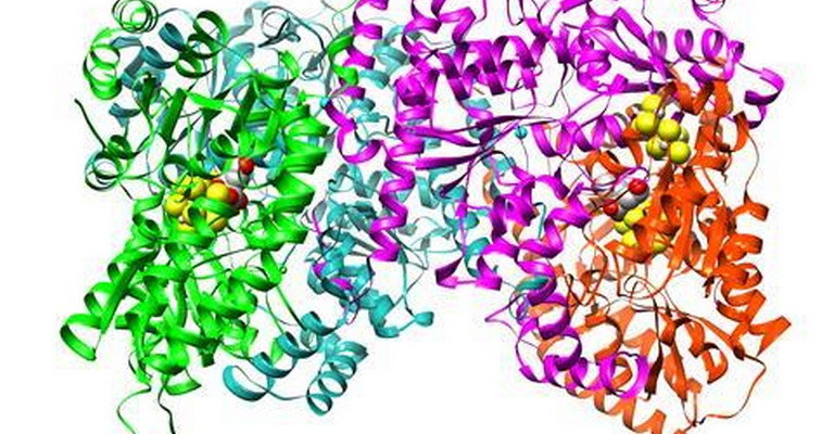 Metalloenzymes MCQs