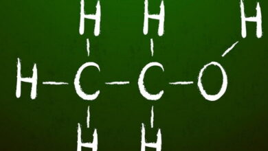 Reaction Mechanisms MCQs