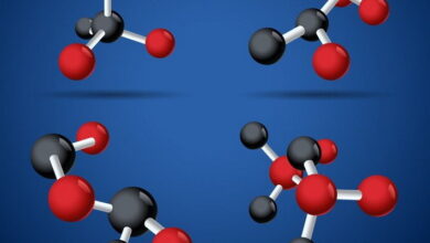 Reactions of Organometallic Compounds MCQs