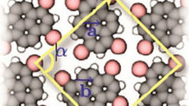 Self-Assembly MCQs