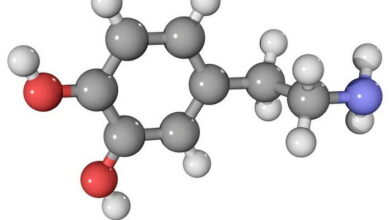 Aldehydes & Ketones MCQs