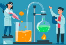 Catalysis and Catalysts MCQs