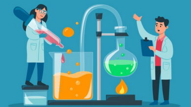 Catalysis and Catalysts MCQs