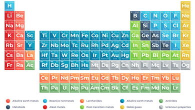 Halogens And Noble Gases MCQs