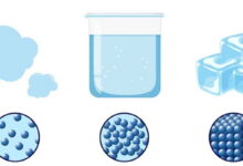 Physical States of Matter MCQs