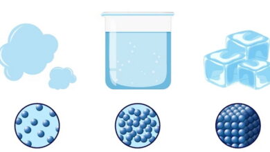 Physical States of Matter MCQs