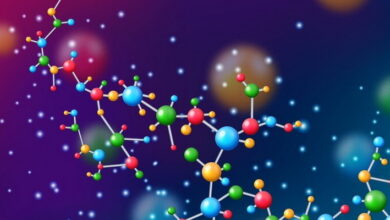 Supramolecular Chemistry