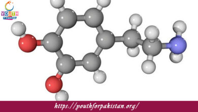 Aldehydes & Ketones Quiz