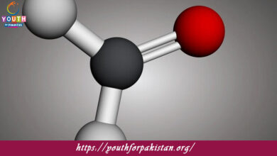 Alkenes Quiz