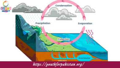 Atmospheric Chemistry Quiz