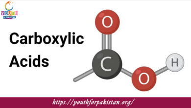 Carboxylic Acid Quiz