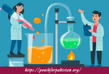 Catalysis and Catalysts Quiz