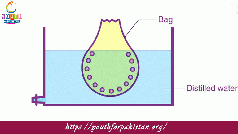 Colloids Quiz