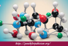 Covalent Bonding Quiz